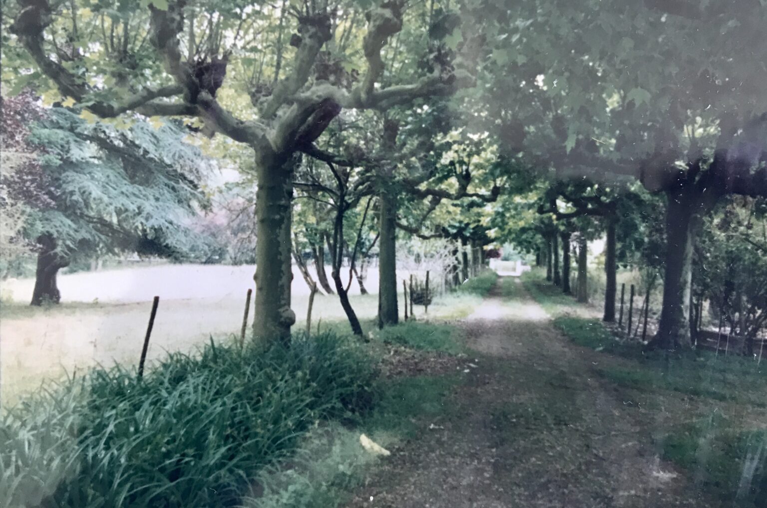 first sight of the avenue in 1992