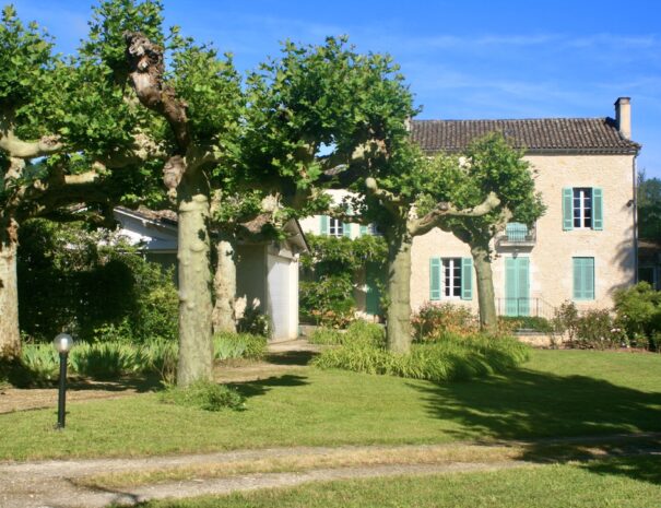 View from the garden