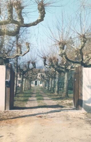 gateway to paradise 1992 the avenue as it was in 1992