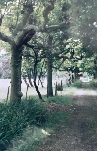 first sight of the avenue in 1992